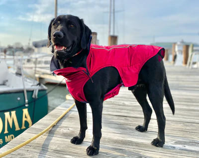 Narragansett Bay Dog Jacket
