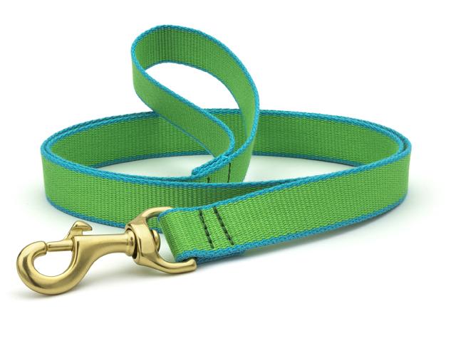 Lime And Aqua Bamboo Leash