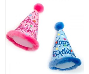 Birthday Hat Dog Toy
