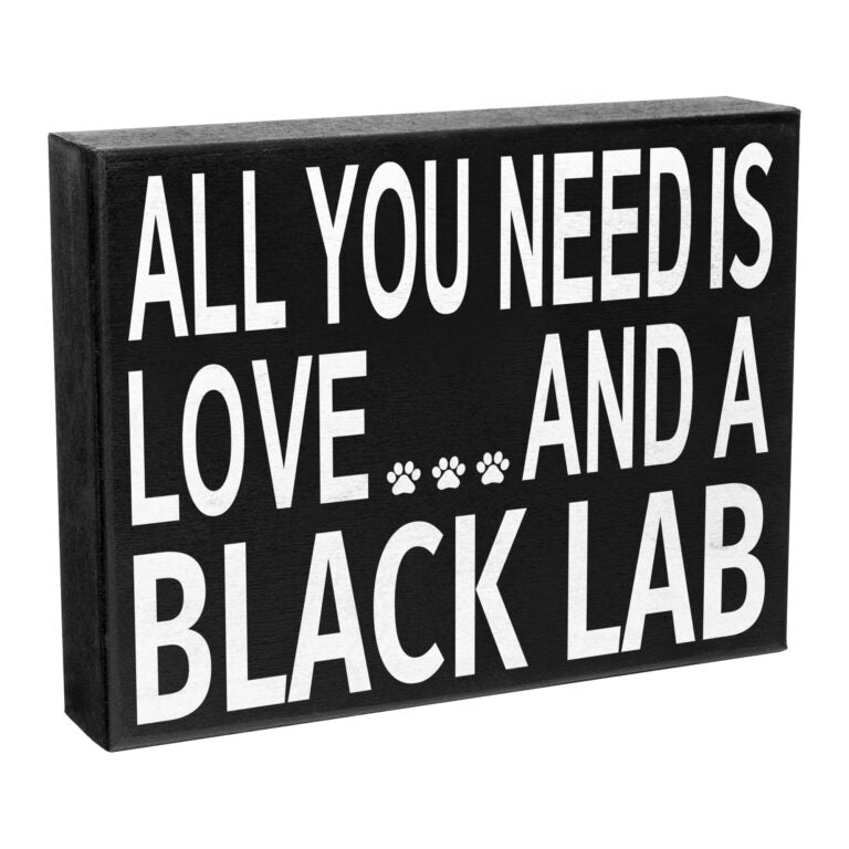 All You Need Is Love And A Black Lab