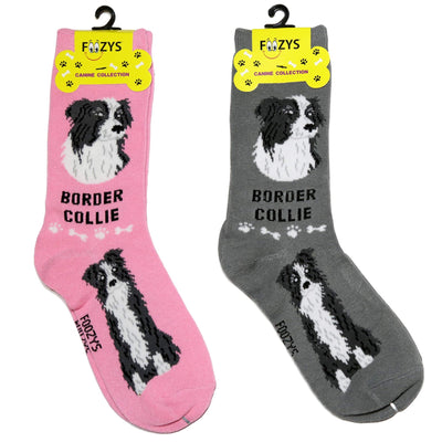 Foozys Socks-Border Collie