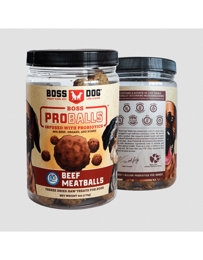 Boss Dog Freeze-Dried Meatball Dog Treats-Beef 3oz. Jar