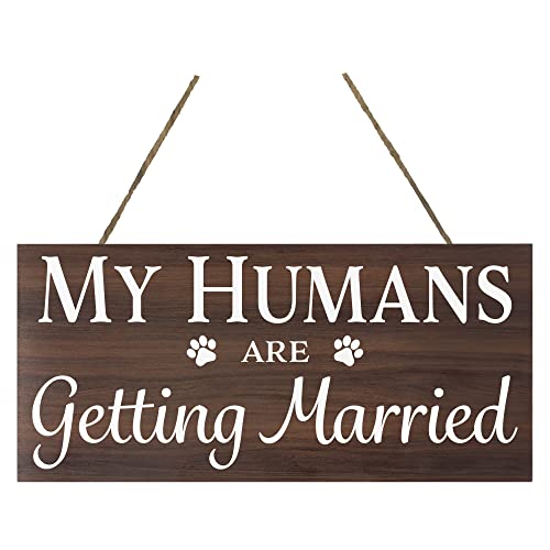 My Humans Are Getting Married