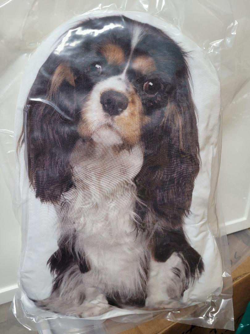 Dog Breed Pillows