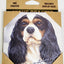 Dog Breed Coasters