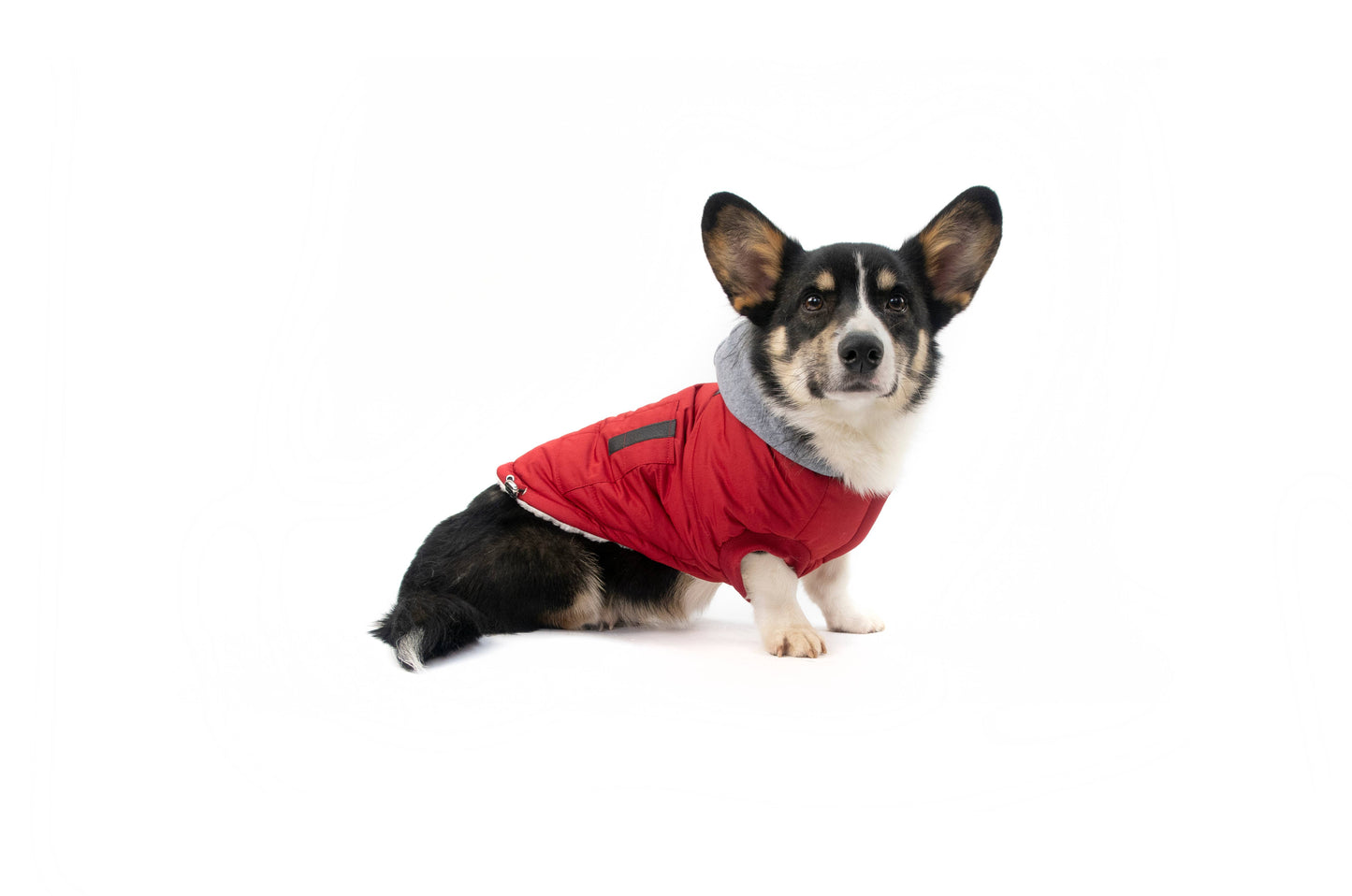 Brave Bark by GF Pet Thermal Dog Parka - Red