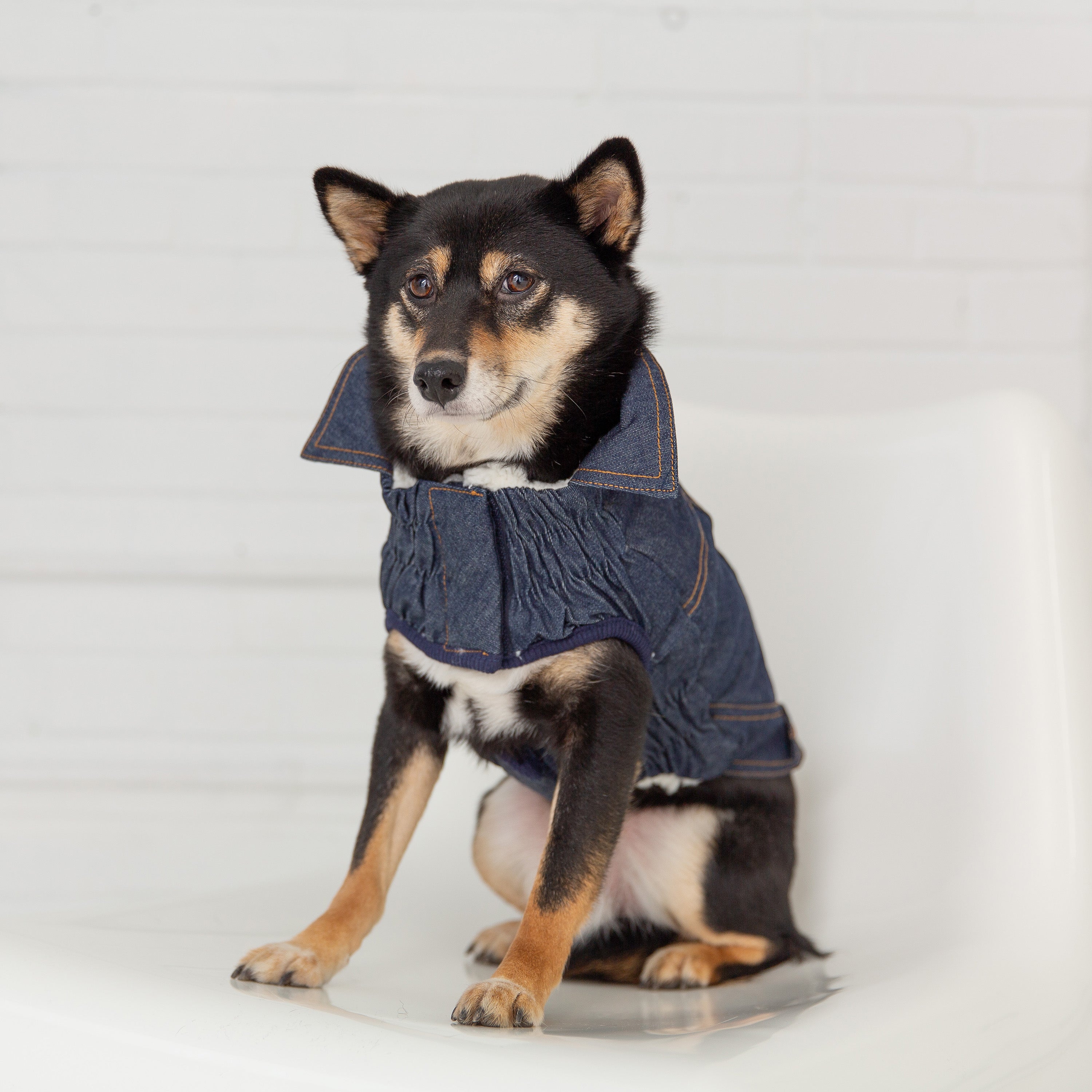 Gf pet dog on sale coats