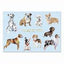 Thank You Dog Note Card Sets