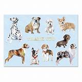 Thank You Dog Note Card Sets