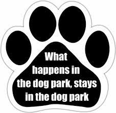 Car Magnet-What Happens In The Dog Park