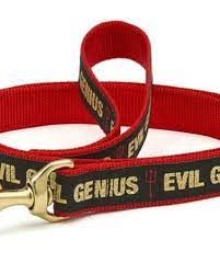 Evil Genius Leash