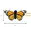Monarch Butterfly w/Squeak & Crinkle