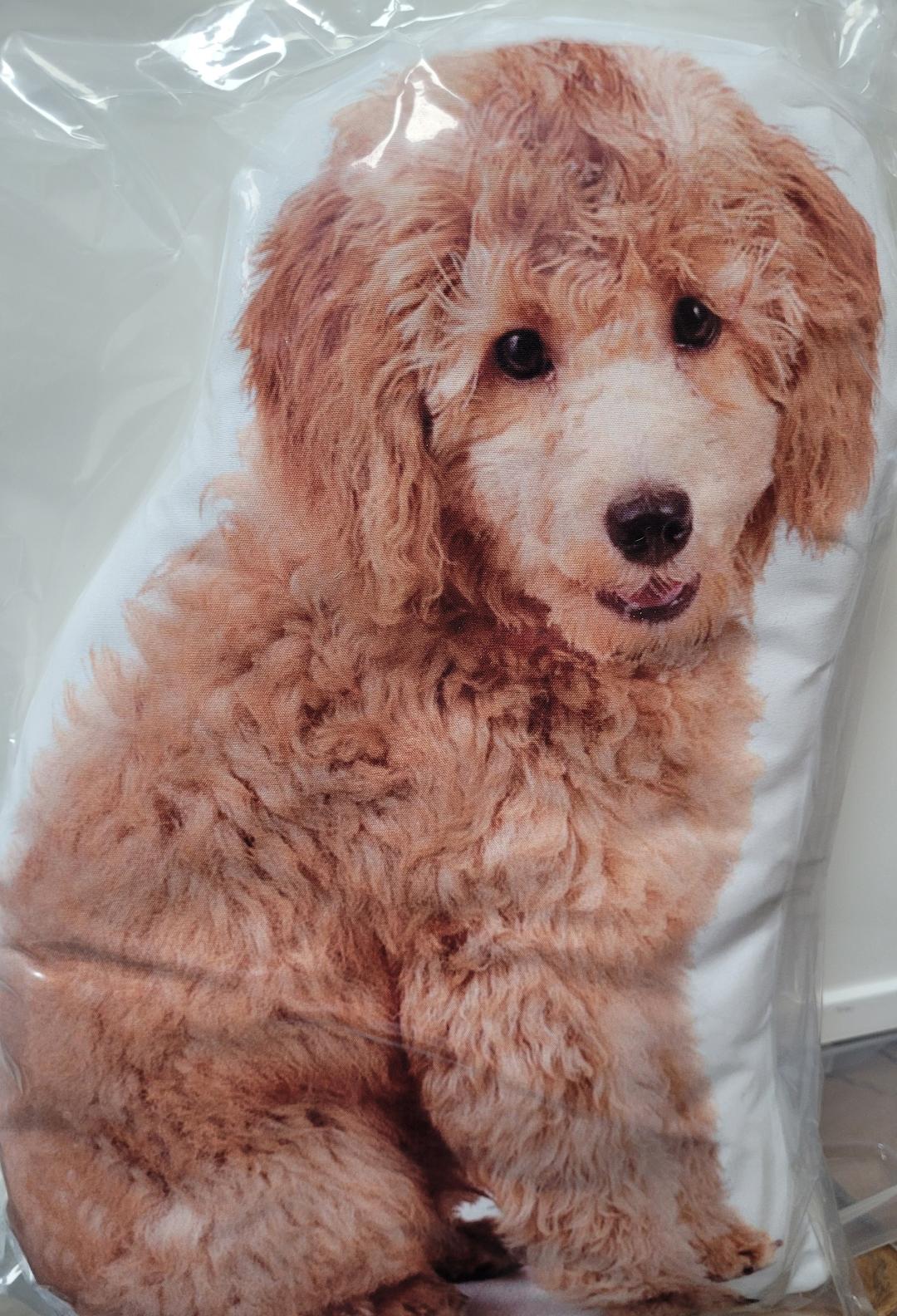 Dog Breed Pillows