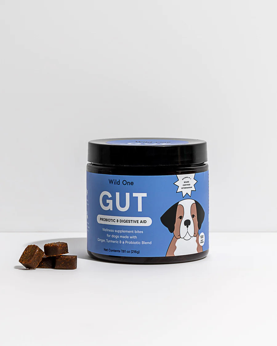 GUT Probiotic & Digestive Aid