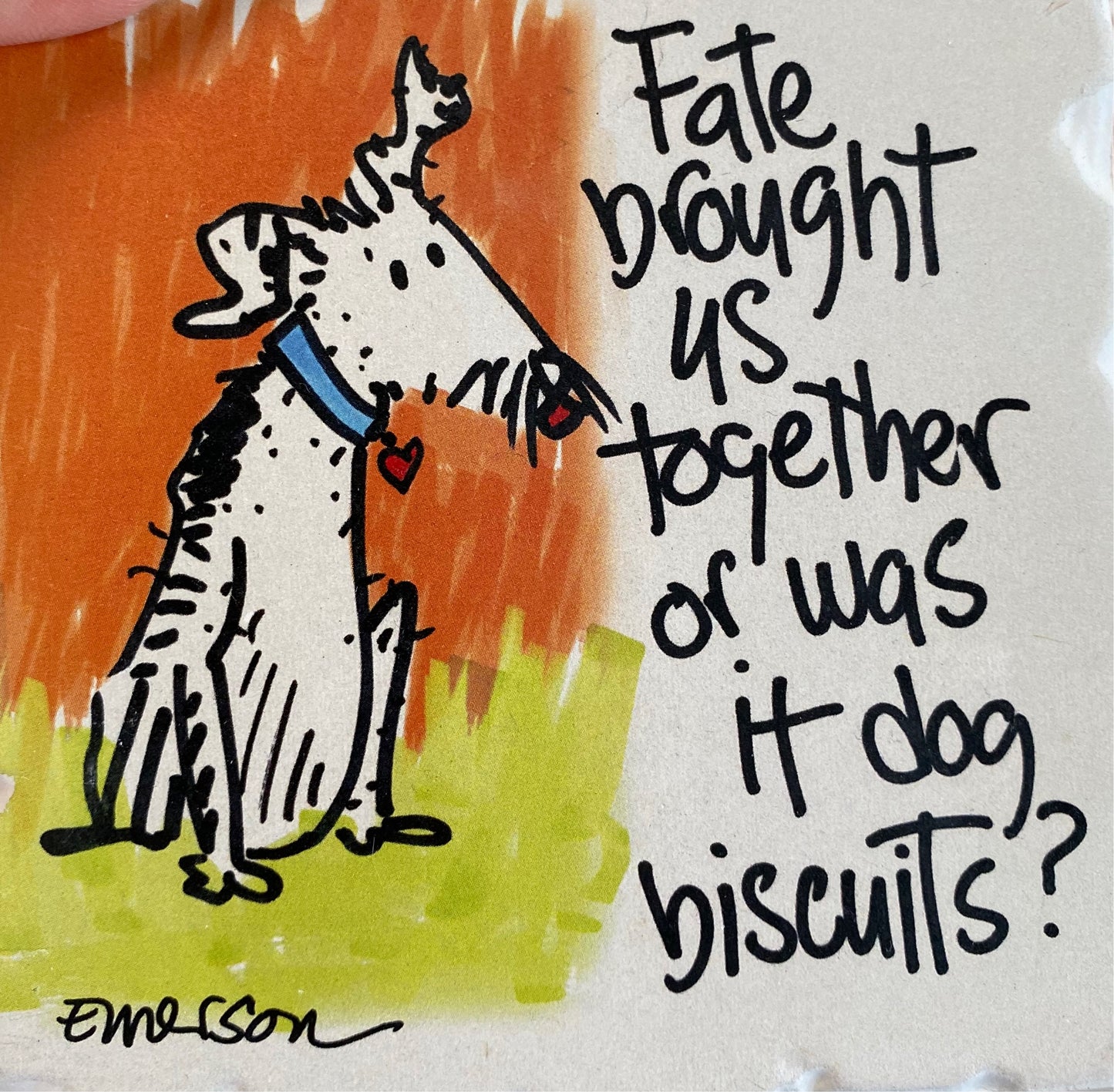 Dog Biscuit Coaster