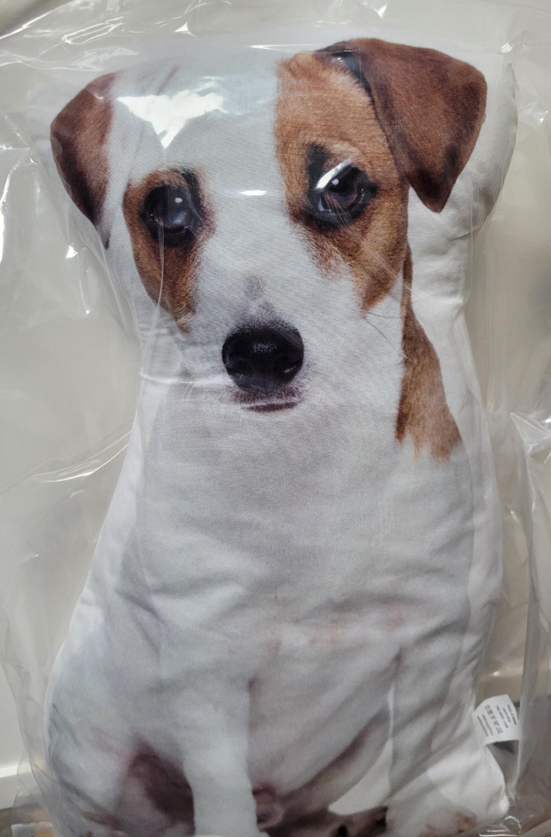 Dog Breed Pillows