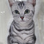 Cat Pillows