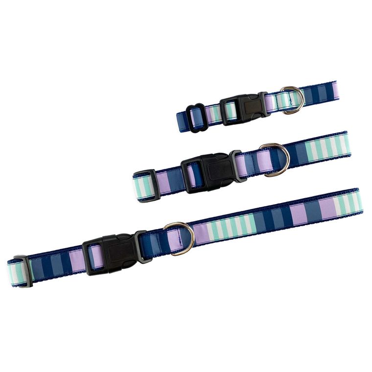 Dog Collar - Metro Stripes