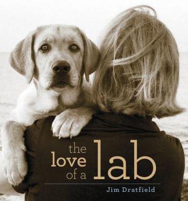 The Love of a Lab by Jim Dratfield