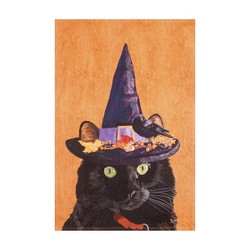 C&F Kitchen Towel- Witch Cat Mose