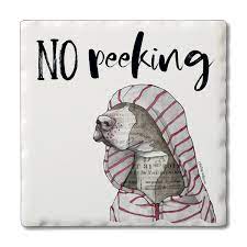 No Peeking Coaster