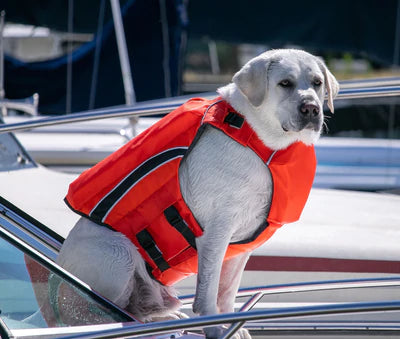 Monterey Bay Offshore Life Jacket