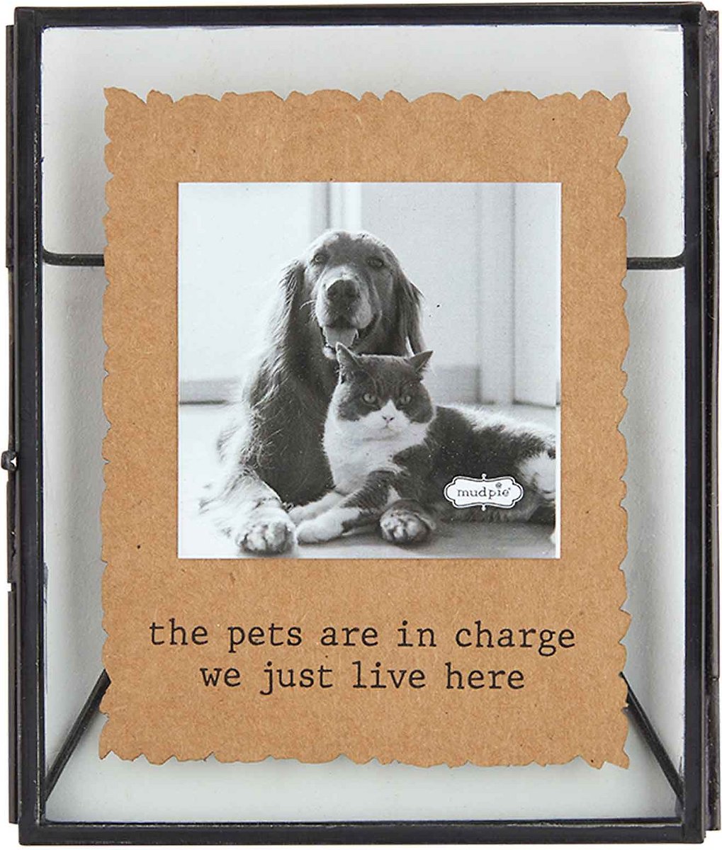 The Pets Are In Charge  Pet Frame