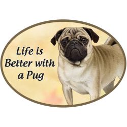 Pet Lover Euro Car Magnet