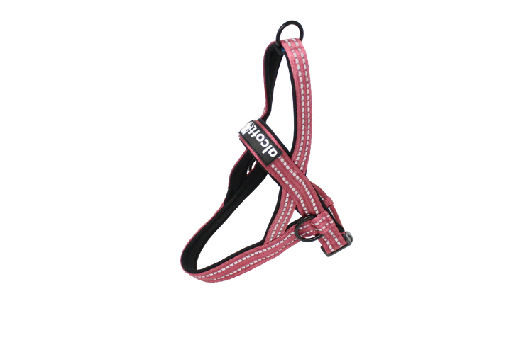 Alcott Norwegian Harness-Red